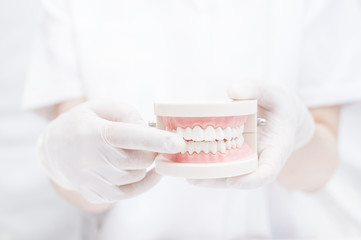 前歯だけインプラントのメリットとデメリットについて
