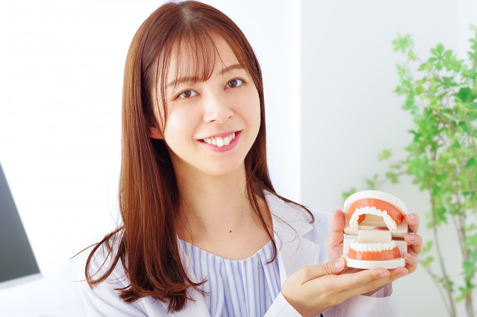歯の模型を持つ美女